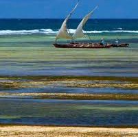 Why Kenya Is a Land of Opportunity in Tourism, Mining, Blue Economy and Wildlife