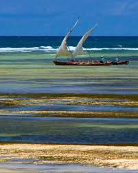 Why Kenya Is a Land of Opportunity in Tourism, Mining, Blue Economy and Wildlife