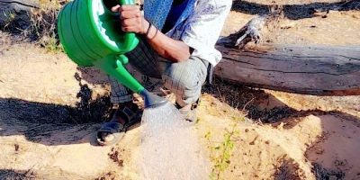 The Geed Deeble Botanic Garden in Somaliland Bringing Change