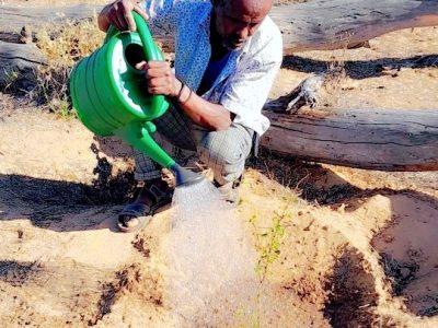 The Geed Deeble Botanic Garden in Somaliland Bringing Change