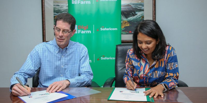 New AI Chatbot For Smallholder Farmers Launched 