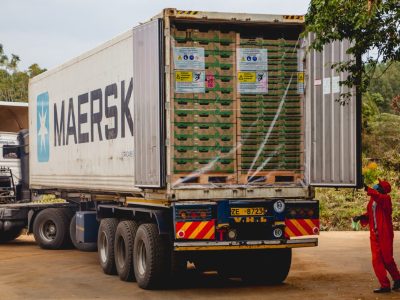 Kenyan Fresh Produce Exporters Assure European Buyers As Logistical Challenges Persist