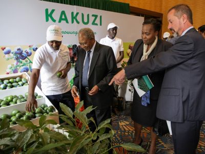 Kakuzi Battles Geopolitical, Weather, & Forex Storms in 2024