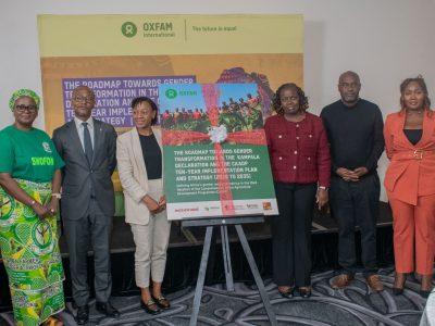 Impact Of Agricultural Policies On Women In Africa