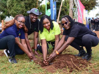 Java House And Partners To Plant 6,000 Trees 