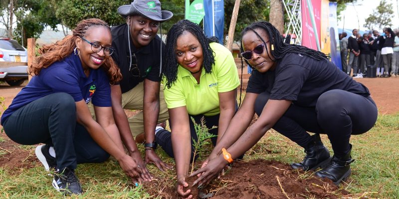 Java House And Partners To Plant 6,000 Trees 