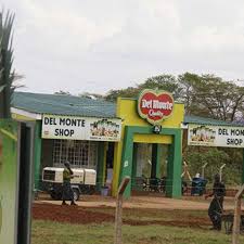 Del Monte Kenya Limited Joins the Prestigious United Nations Global CompactDel Monte Kenya Limited has officially joined the United Nations Global Compact, the world’s largest corporate sustainability initiative. By joining the Compact, Del Monte Kenya becomes part of a global network of over 23,000 companies and 4,000 non-business participants committed to a sustainable, inclusive, and responsible future. Del Monte Kenya’s Managing Director, Wayne Cook, confirmed the news and expressed his pride in the achievement. “We are truly honored to announce our membership in the UN Global Compact. Our continuous investment in sustainability across all our operations has not only brought global recognition but also delivered real impact. This milestone reinforces our dedication to responsible practices. We look forward to learning from the global community, adopting best practices, and inspiring others to do the same,” he said. Strengthening Sustainability Commitments Del Monte’s proactive investment in sustainability has fueled its growth and profitability over the years. Joining the Global Compact means the company will now promote its sustainability agenda on a global platform. The move aligns Del Monte Kenya with the Compact’s Ten Principles, which focus on human rights, labor, environmental protection, and anti-corruption. It also reaffirms the company's long-standing commitment to ethical and sustainable business practices. Del Monte has also pledged to support the United Nations Sustainable Development Goals (SDGs). As part of this commitment, the company will implement transparent reporting mechanisms and publish annual updates on its sustainability progress. Through these efforts, Del Monte Kenya aims to champion sustainable agriculture, environmental conservation, and community impact initiatives—both in Kenya and across the region.