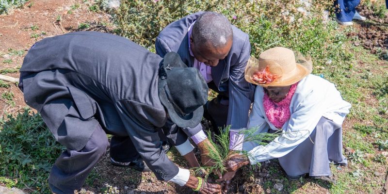 NCBA Celebrates Older Persons with Acts of Care and Sustainability