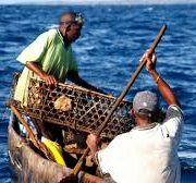 Blue Economy Push to Drive Kenya’s Growth