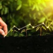 Guarantees, Not Grants: The Financing Model Powering Kenya’s Green Transition