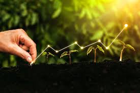 Guarantees, Not Grants: The Financing Model Powering Kenya’s Green Transition