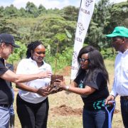 Boreka Group and NCBA Surpass 340,000 Trees as Farmer-Led Climate Action Gains Momentum