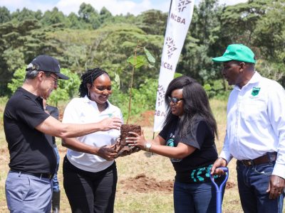 Boreka Group and NCBA Surpass 340,000 Trees as Farmer-Led Climate Action Gains Momentum