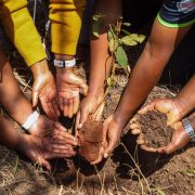 NCBA Advances Sustainable Finance Agenda Through Climate Action Partnerships