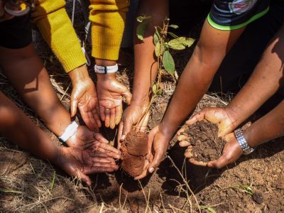 NCBA Advances Sustainable Finance Agenda Through Climate Action Partnerships