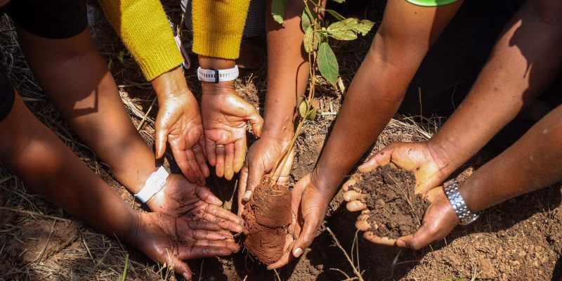 NCBA Advances Sustainable Finance Agenda Through Climate Action Partnerships