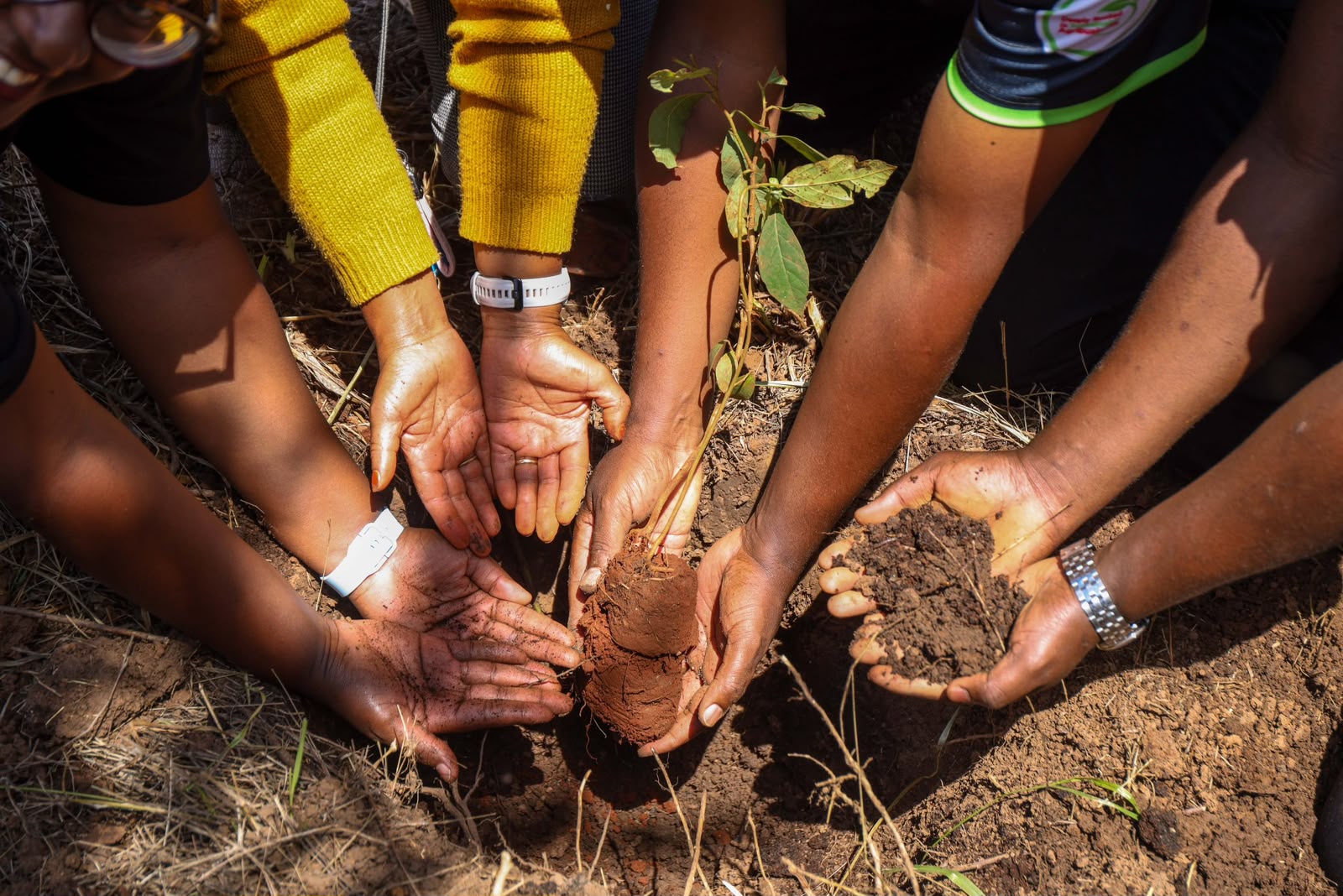 NCBA Advances Sustainable Finance Agenda Through Climate Action Partnerships