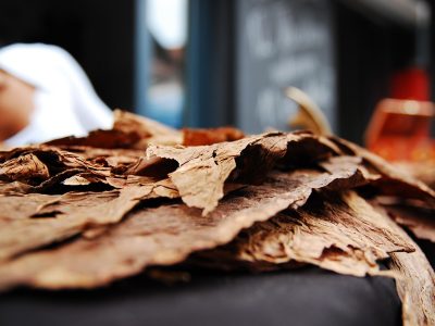 BAHLITA Calls for Inclusive Public Participation in Tobacco Control Bill