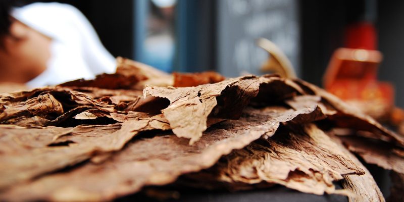 BAHLITA Calls for Inclusive Public Participation in Tobacco Control Bill