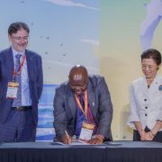 45% of Migratory Birds in Decline as Nairobi Backs Conservation Finance