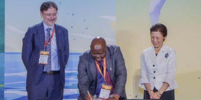 45% of Migratory Birds in Decline as Nairobi Backs Conservation Finance