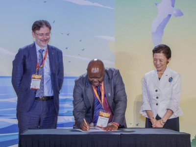 45% of Migratory Birds in Decline as Nairobi Backs Conservation Finance
