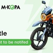 Jumia Festival Combines Shopping Deals with New Opportunities Through M-KOPA Partnership